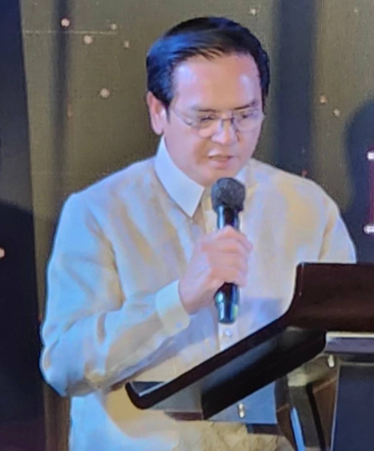 Department of Foreign Affairs Undersecretary for Multilateral Affairs and International Economic Relations Charles Jose