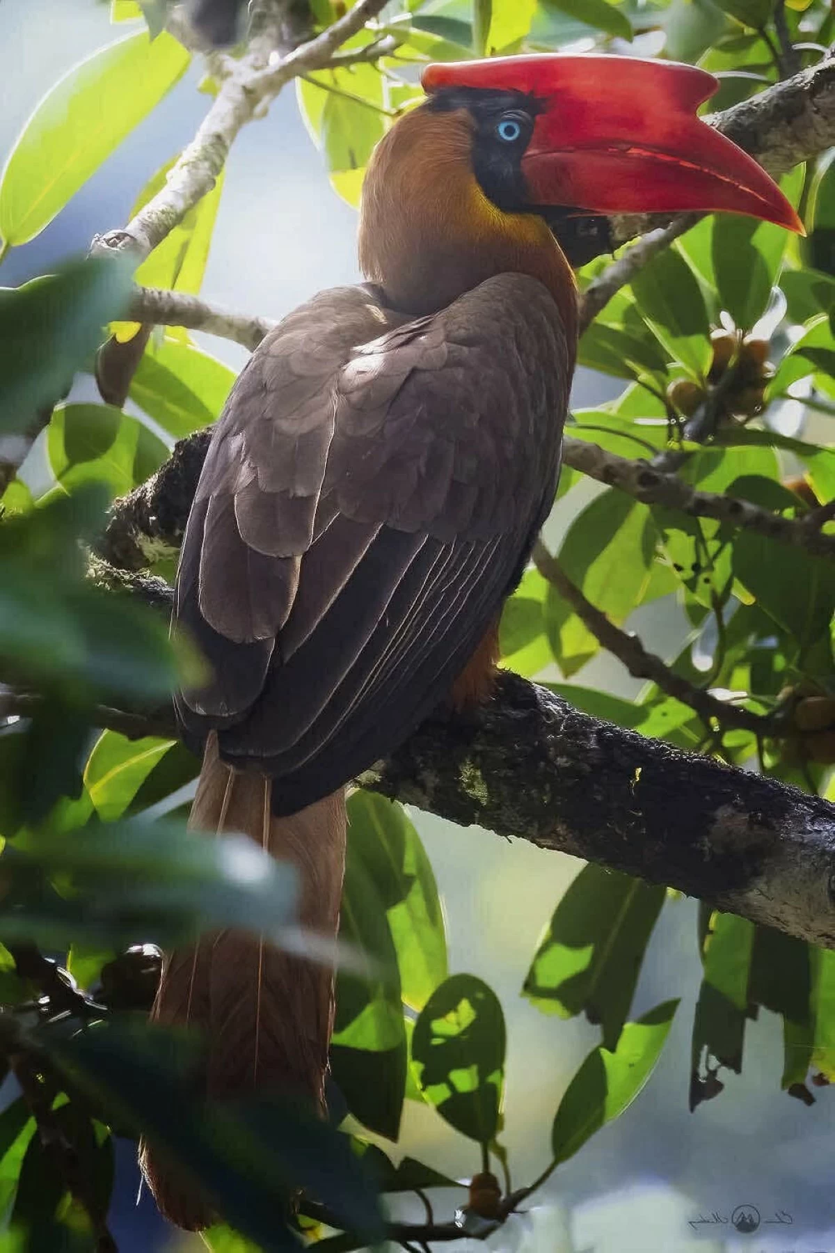 (PHOTO: EDWIN MARTINEZ)