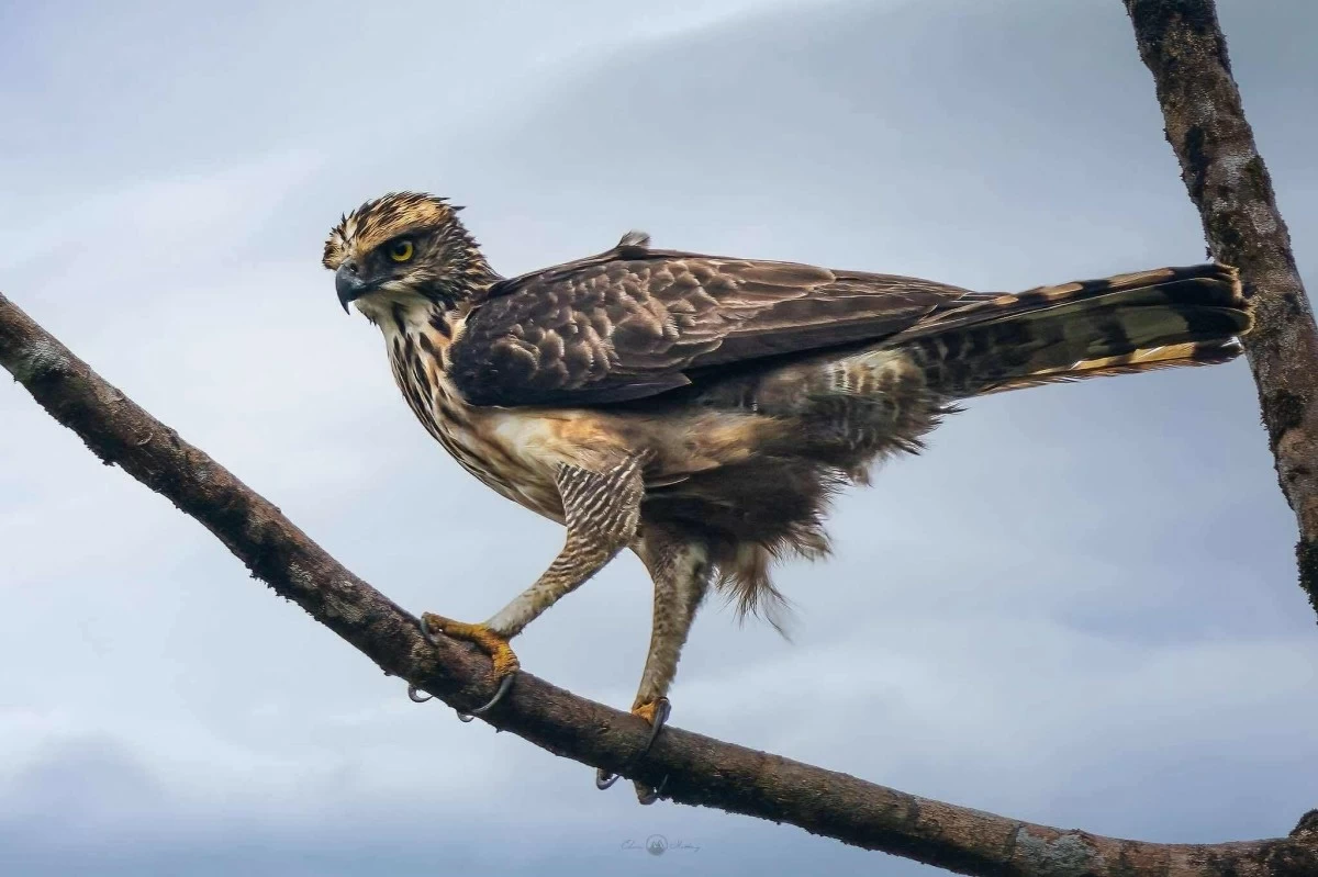 (PHOTO: EDWIN MARTINEZ)