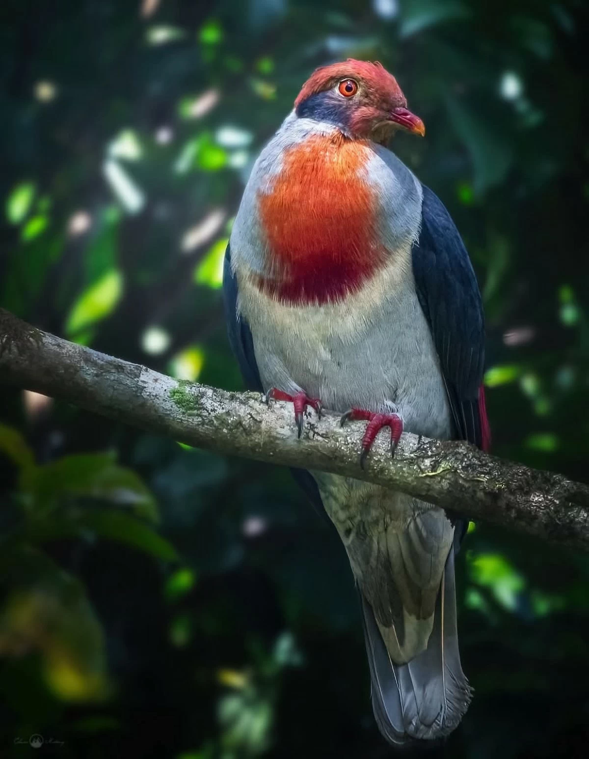 (PHOTO: EDWIN MARTINEZ)