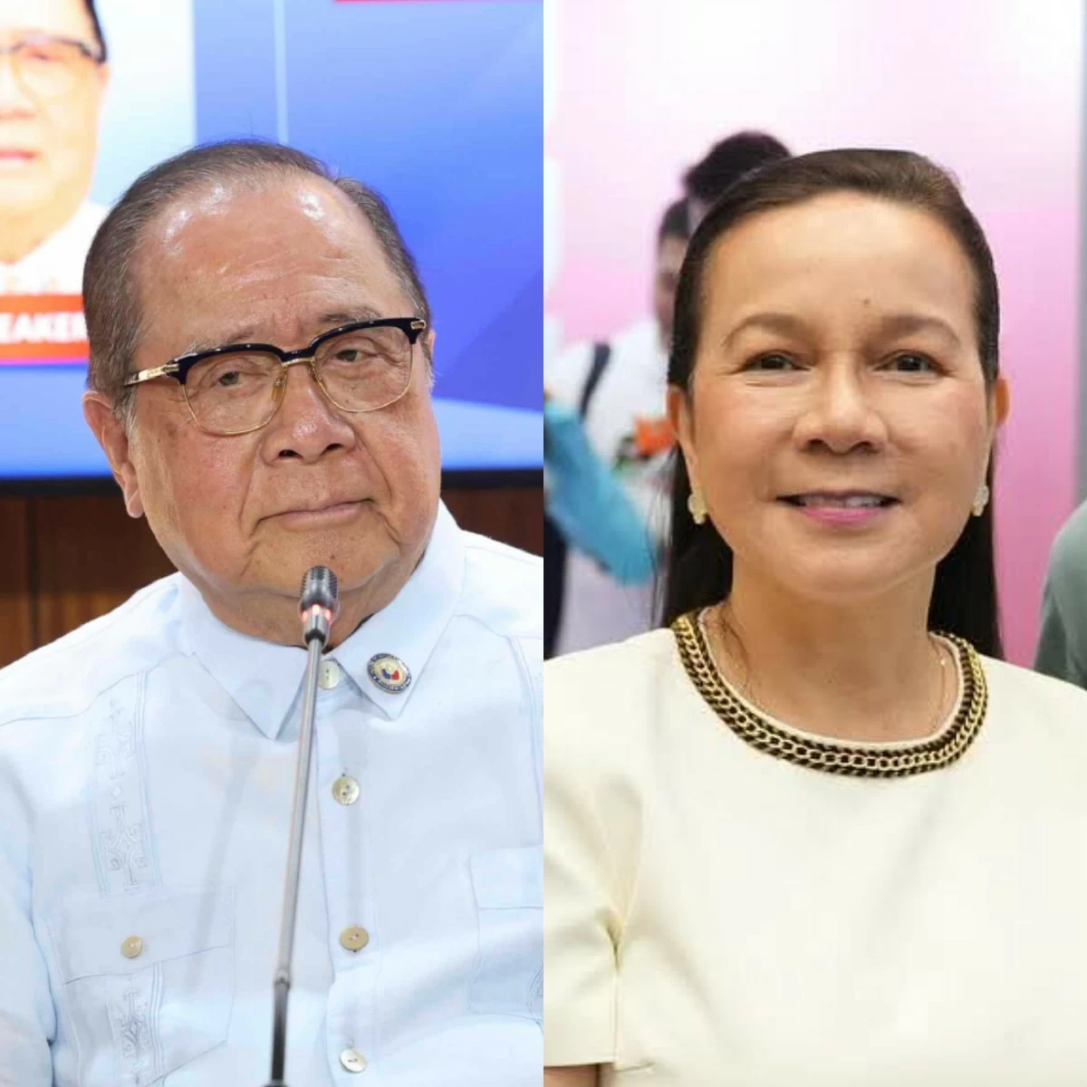 Antipolo 1st district Rep. Ronaldo "Ronnie" Puno (left), former senator Grace Poe (PPAB, Facebook)