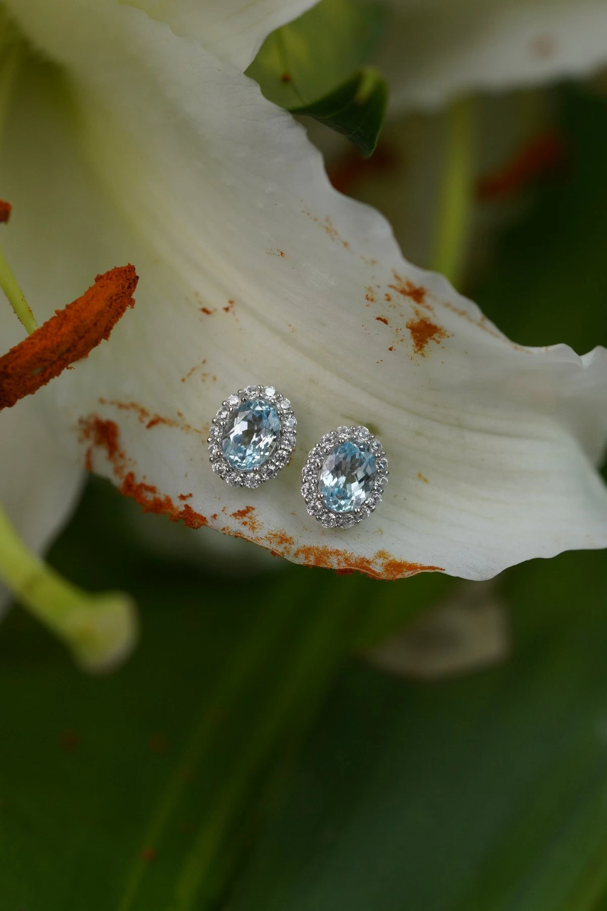 Pristine Paradigm's Lab Aquamarine