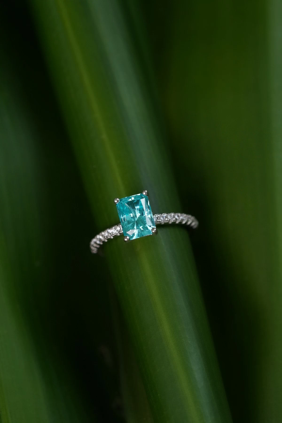 Pristine Paradigm's Lab Paraiba