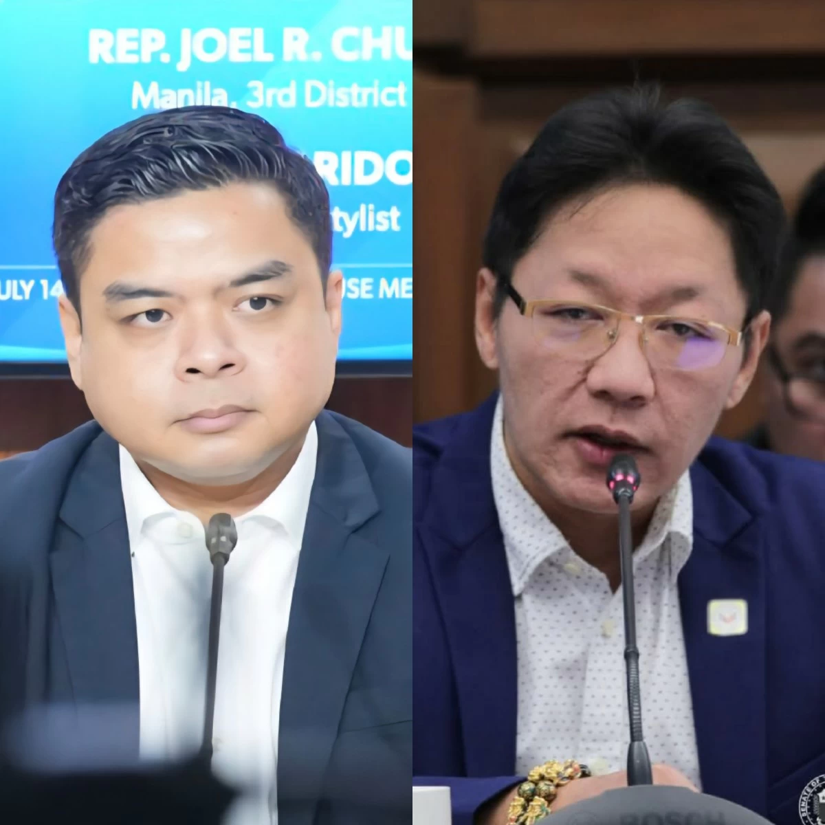 Bicol Saro Party-list Rep. Terry Ridon (left), Curlee Discaya (PPAB, Facebook)