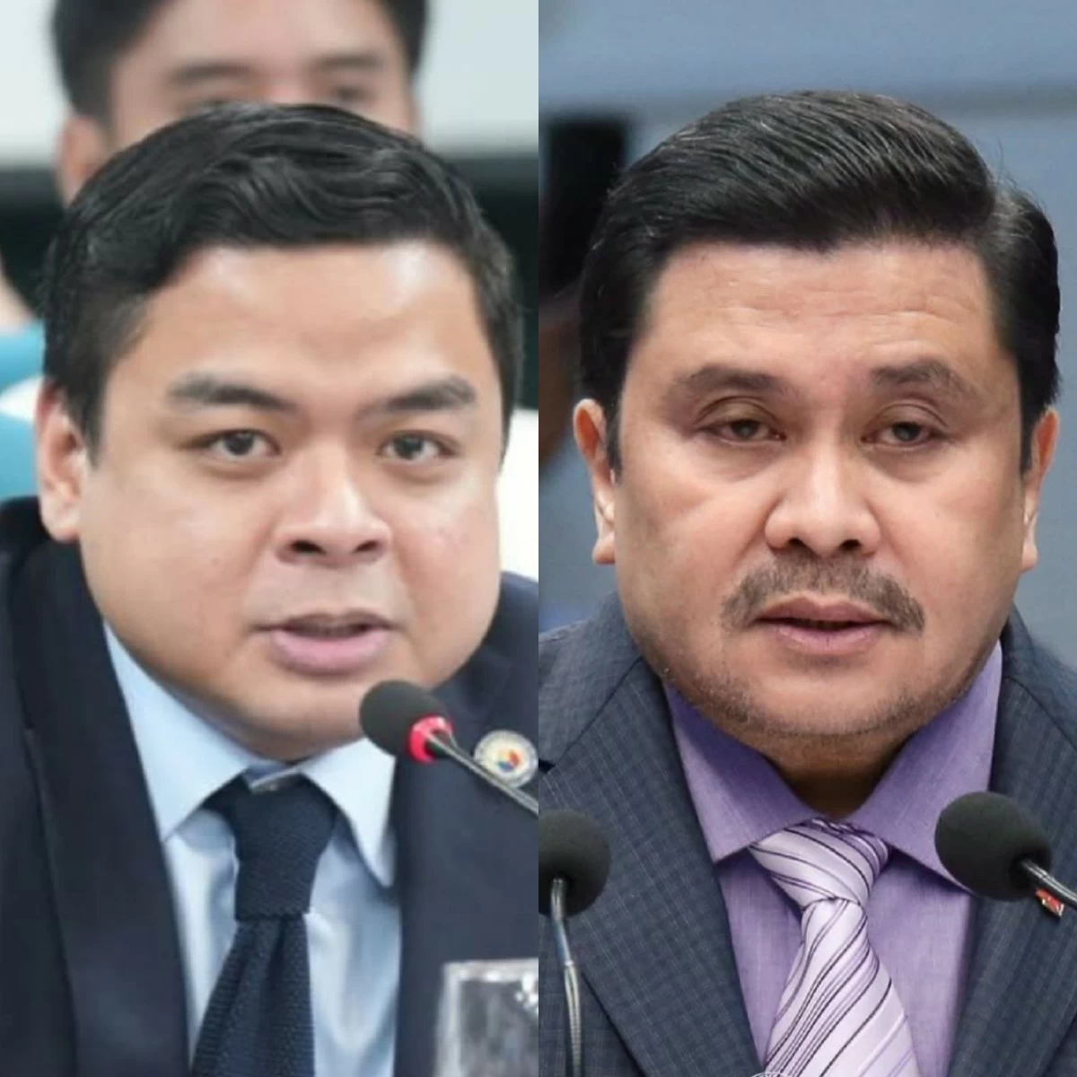 Bicol Saro Party-list Rep. Terry Ridon (left), Senator Jinggoy Estrada (Facebook)