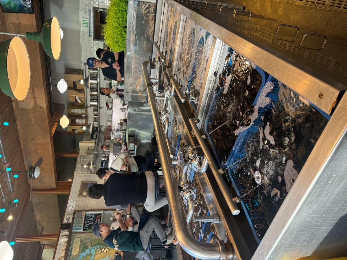 STRAIGHT FROM THE SEA Fresh catches at Taylor Shellfish Oyster Bar