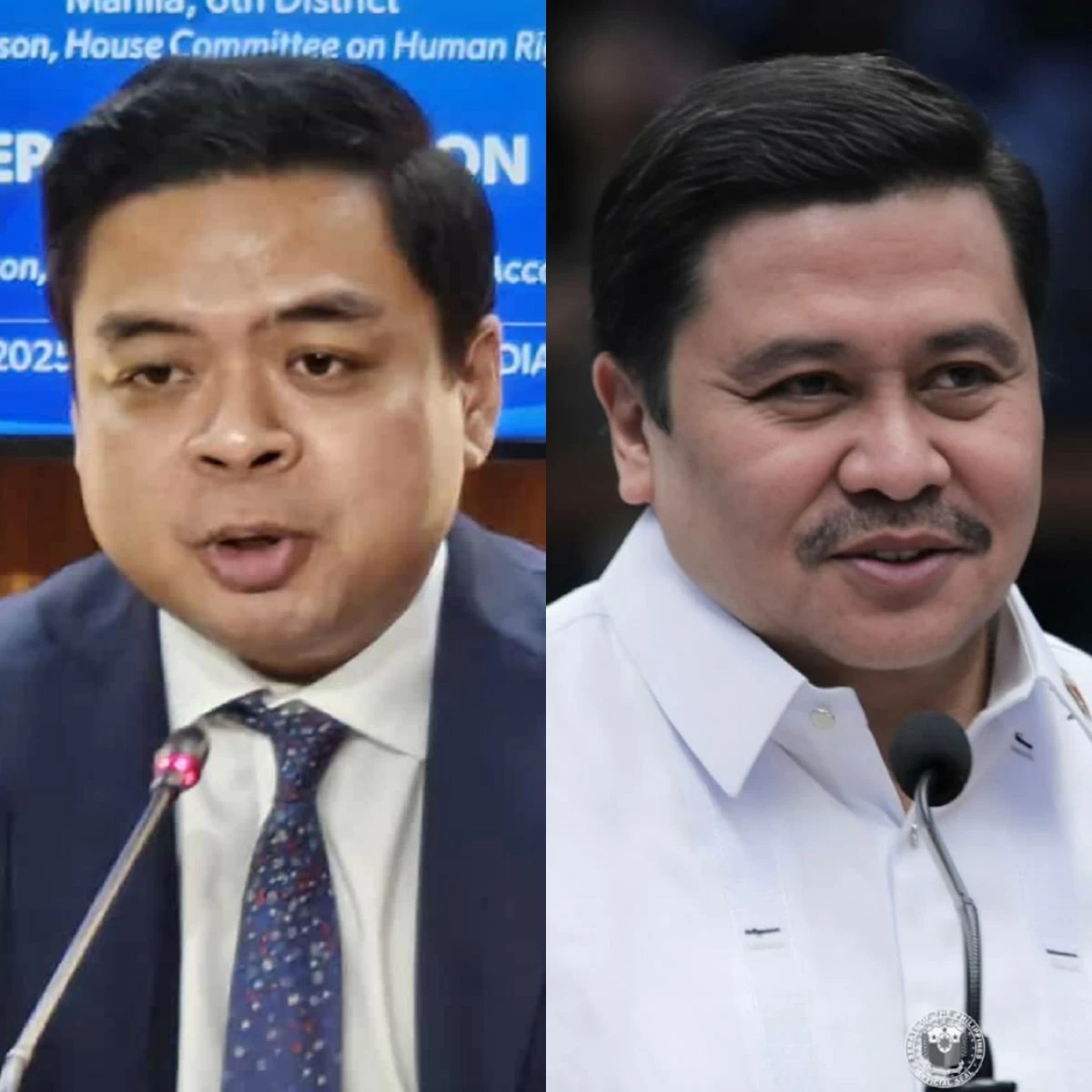 Bicol Saro Party-list Rep. Terry Ridon (left) Senator Jinggoy Estrada (PPAB, Facebook)