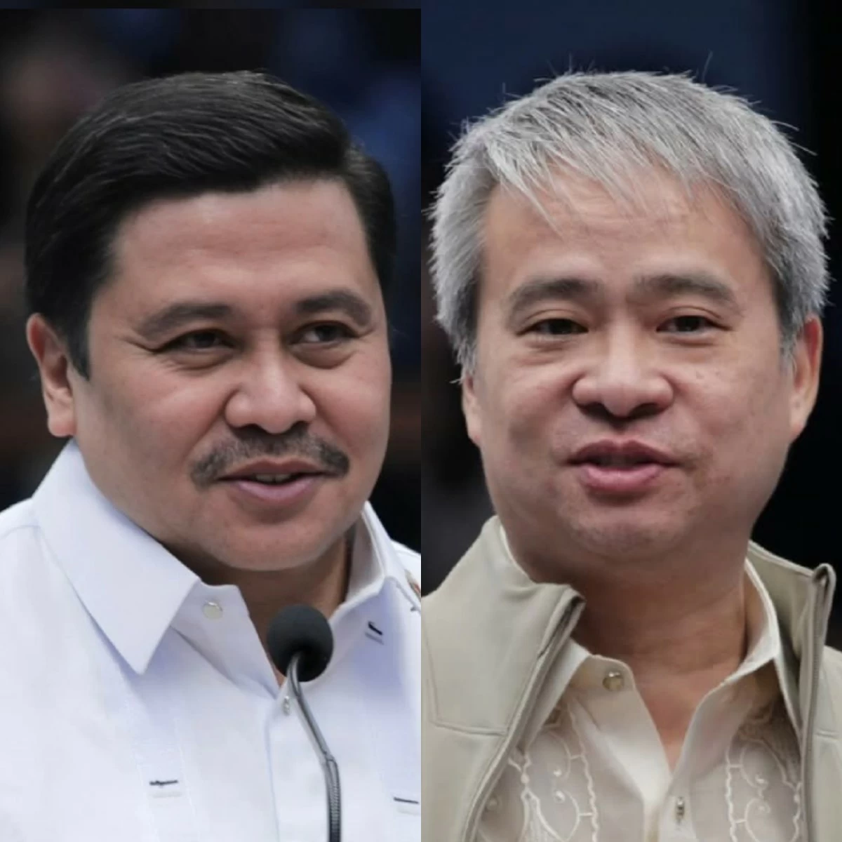 Senators Jinggoy Estrada (left), Joel Villanueva (Facebook)