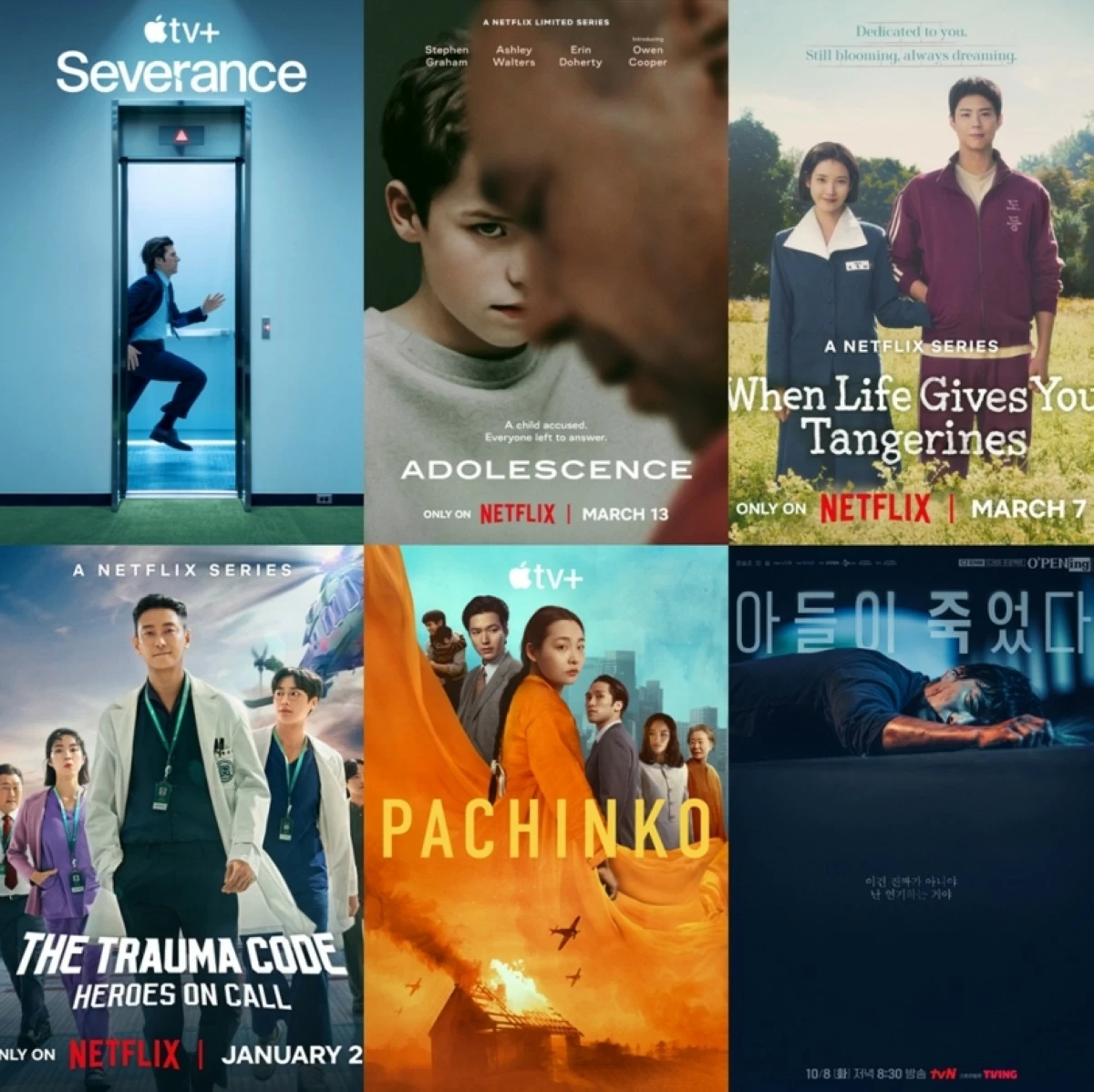 The winners at the  Seoul International Drama Awards 2025 (SDA Committee)