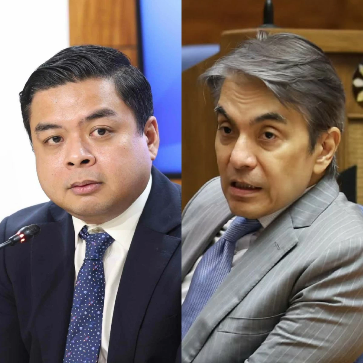 Bicol Saro party-list Rep. Terry Ridon (left), Navotas City lone district Rep. Toby Tiangco (PPAB, Facebook)