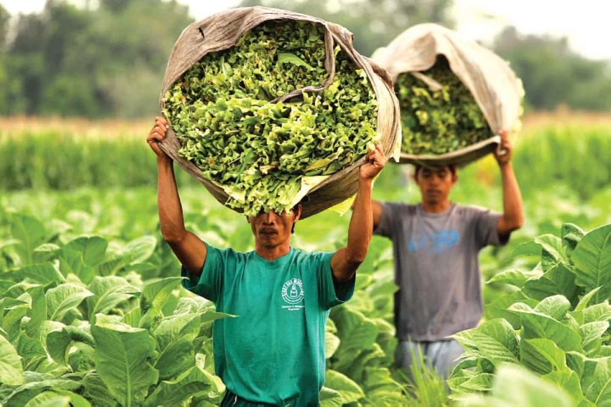 (Manila Bulletin file photo)