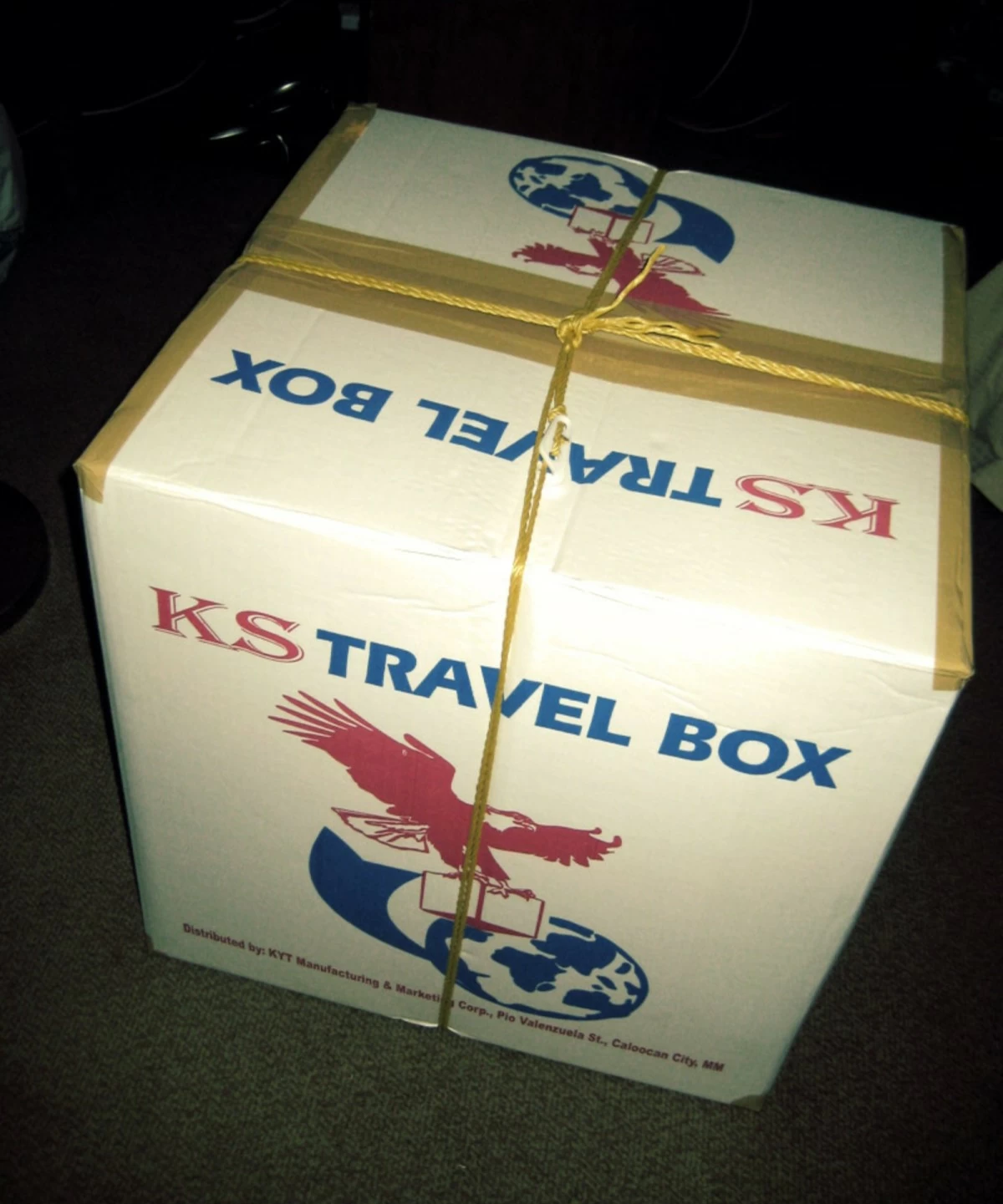 A balikbayan box (Katewashere.com)