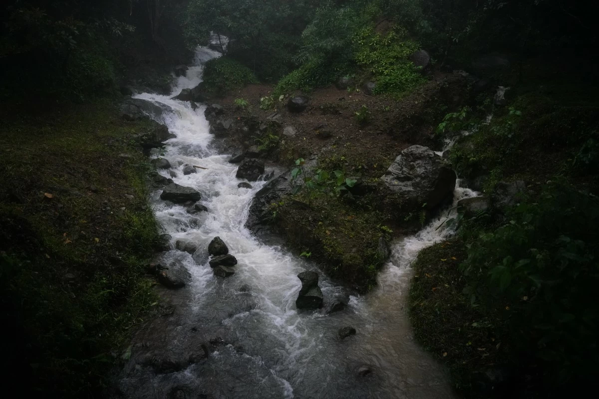 Floodwater management starts in clear and unimpeded forest waterways