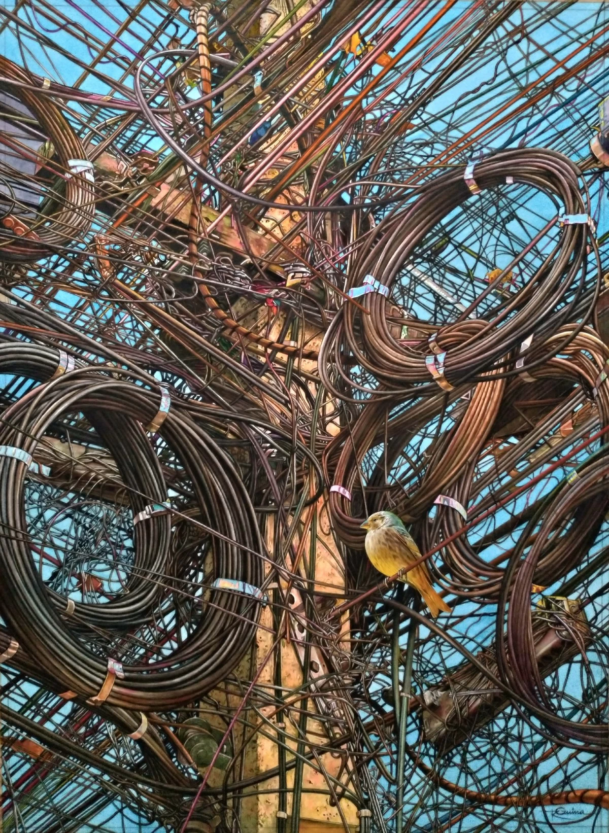 Guina, Rolan - Solitude