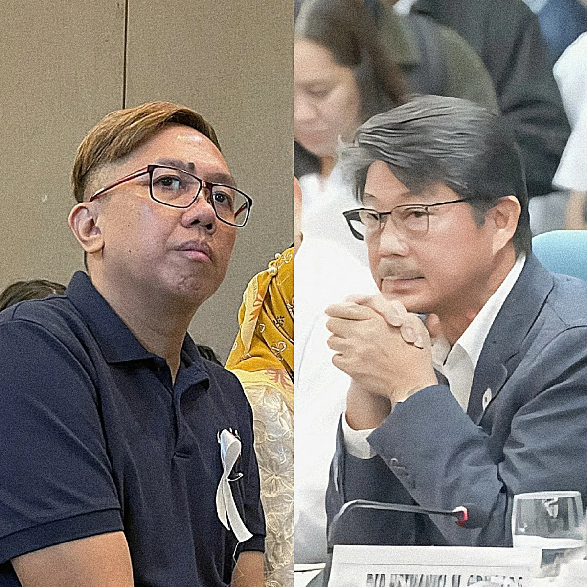 Akbayan Party-list Rep. Perci Cendaña (left), House Speaker Faustino "Bojie" Dy III (Facebook)