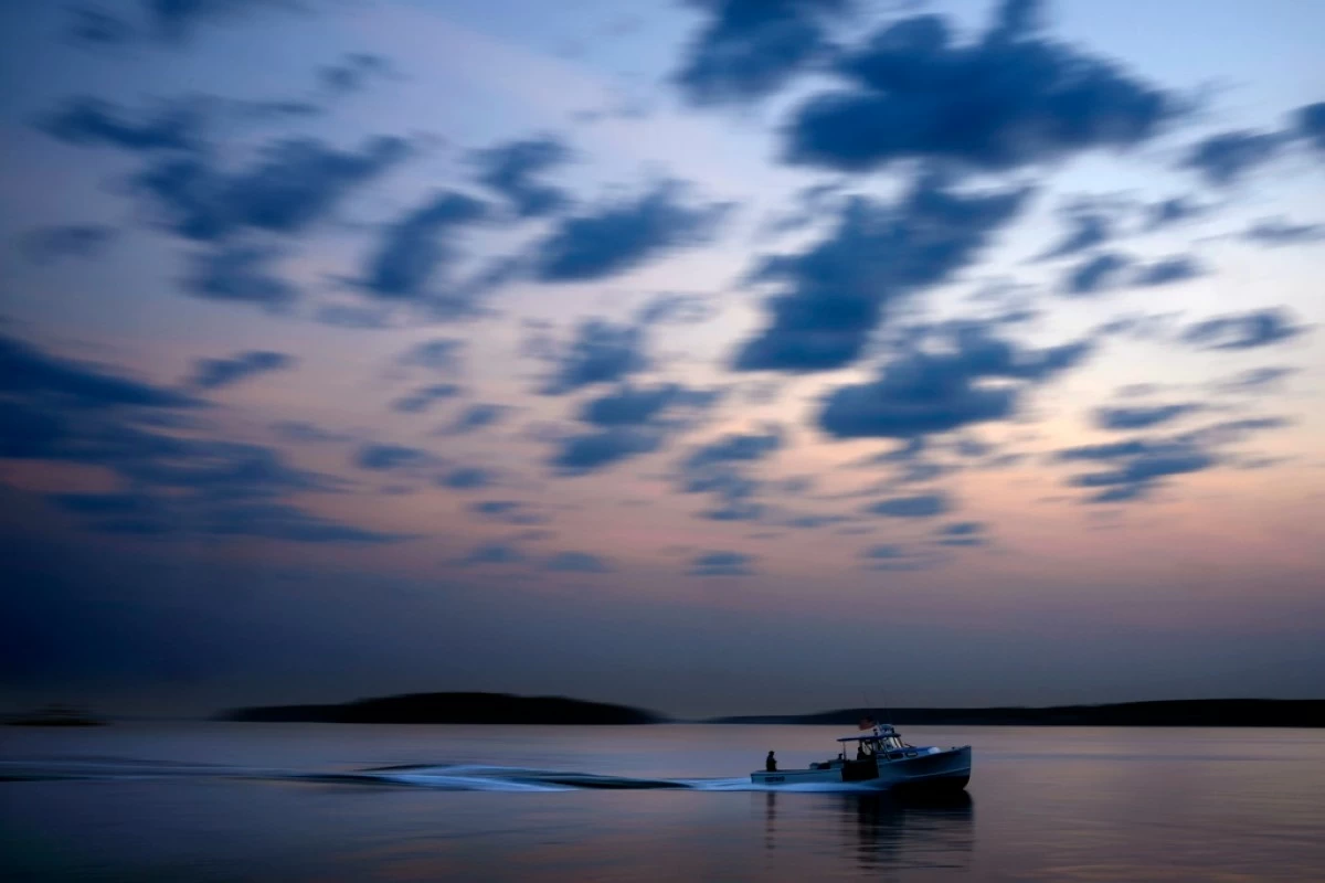 FILE - A lobster fishing boat motors out to sea under the dawn sky Aug. 14, 2024, on Casco Bay in South Portland, Maine. (AP Photo/Robert F. Bukaty, File)