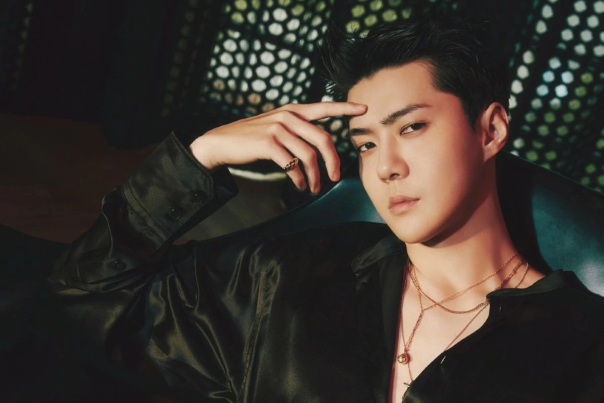 EXO's Sehun (Photo from EXO's Facebook page) 