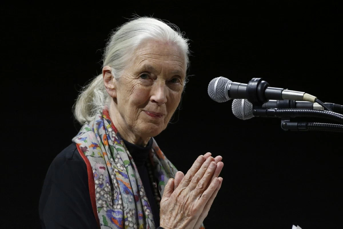 Jane Goodall, the celebrated primatologist and conservationist, has died
