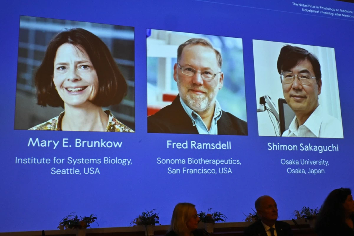 A screen showing the photos of Mary E Brunkow, Fred Ramsdell and Shimon Sakaguchi  who were awarded the Nobel Prize in Medicine or Physiology, at the Nobel Assembly of the Karolinska Institutet, in Stockholm, Sweden, Monday, Oct. 6, 2025. (Claudio Bresciani/TT News Agency via AP)