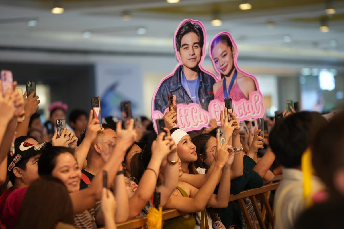 Some of the placards held up by Will's fans, including one for his loveteam WillCa 
