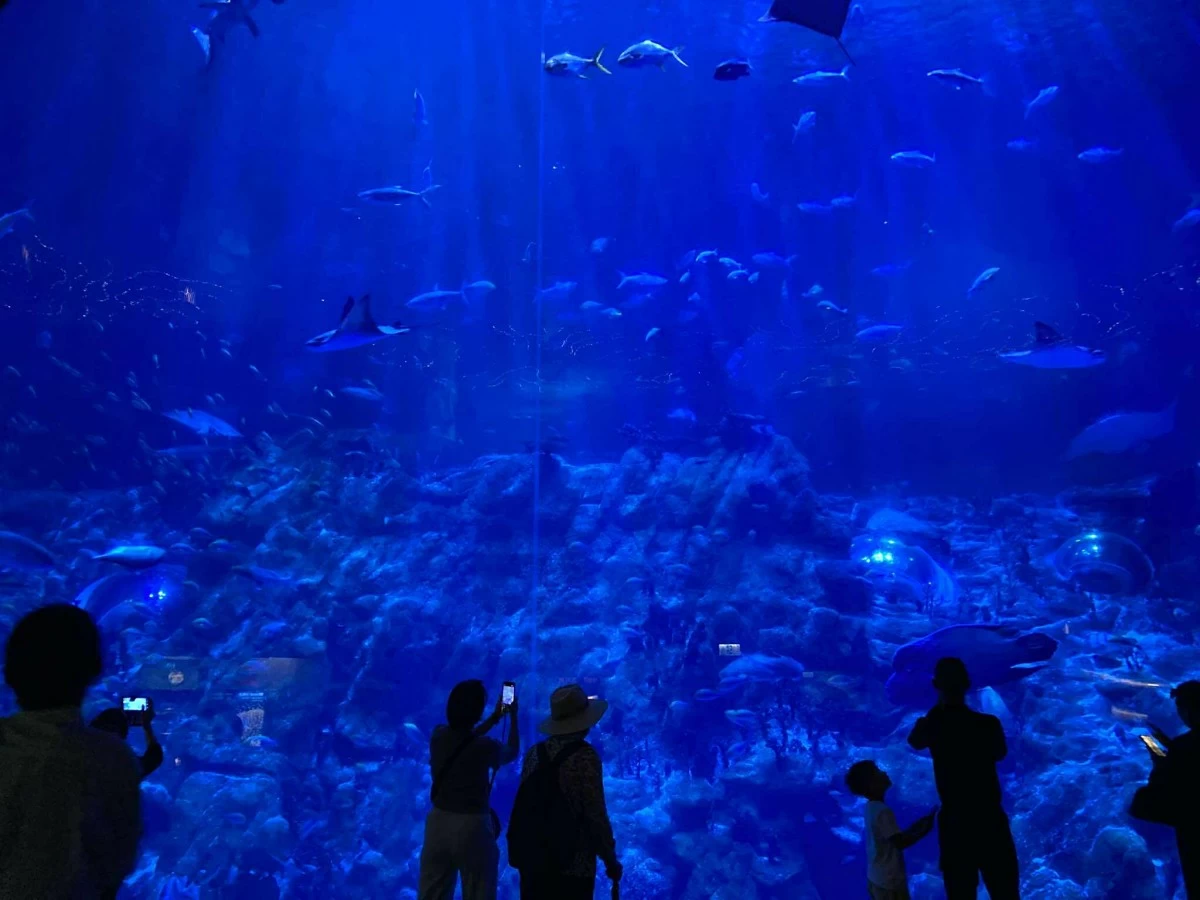 UNDERWATER BLISS There are an estimated 5,000 fish across 400 species residing at the Grand Aquarium.