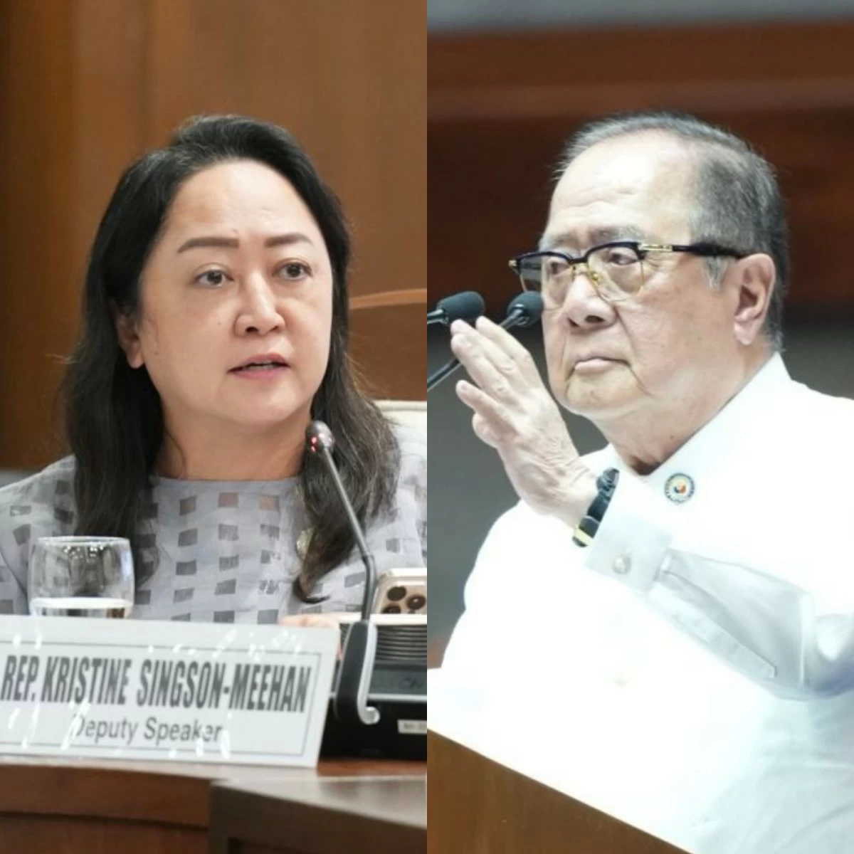 Ilocos Sur 2nd district Rep. Kristine Singson-Meehan (left), Antipolo City 1st district Rep. Ronaldo "Ronnie" Puno (PPAB)