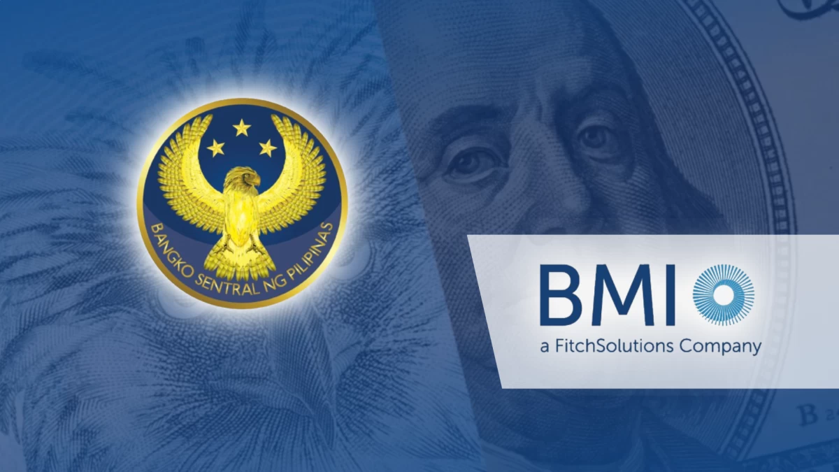 'Sufficient' dollar reserves can defend weak peso—BMI