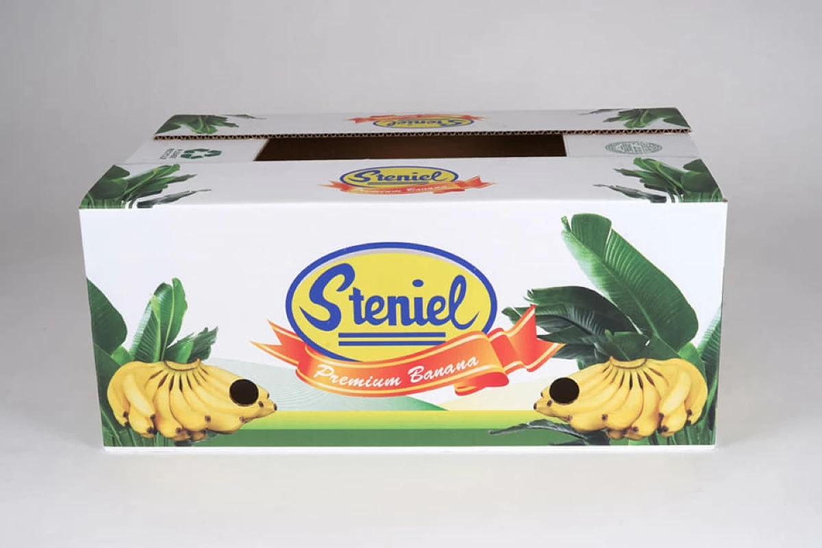 PSE approves Steniel's ₱315-million follow-on offering