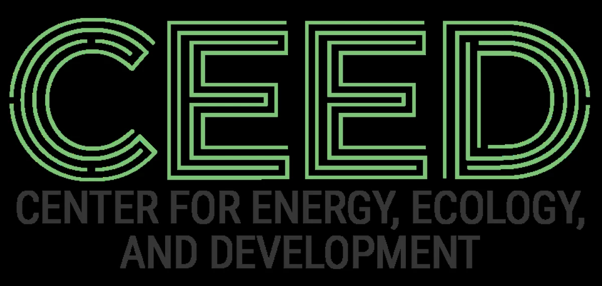 Critics decry 'loopholes' as DOE eases coal project moratorium