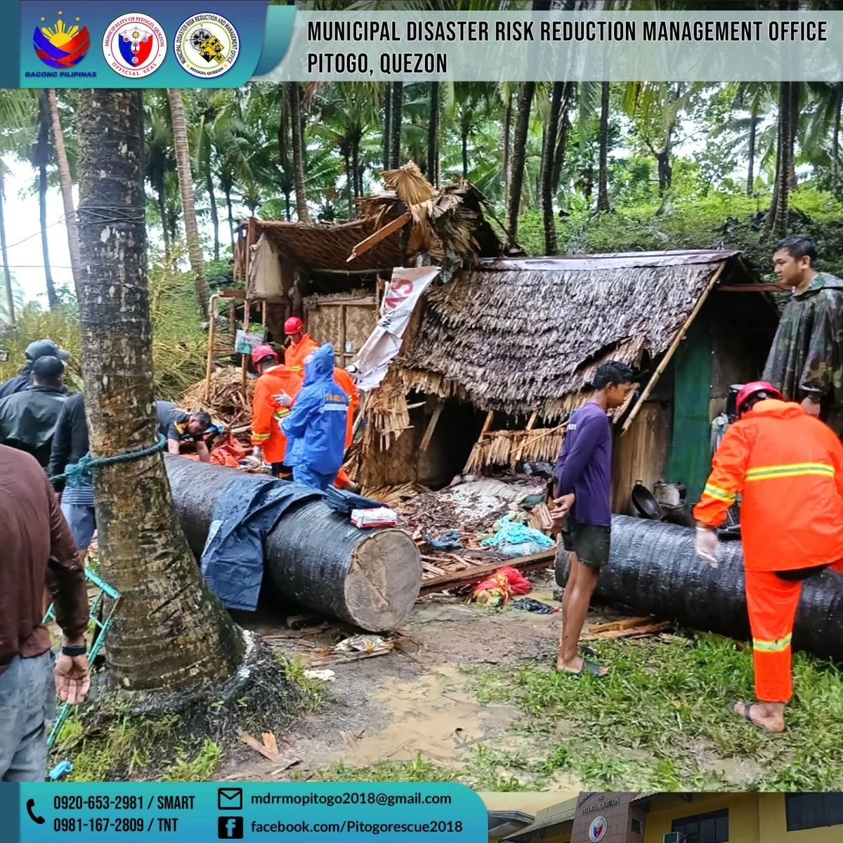 Family of 5 killed as tree topples, hits house in Quezon