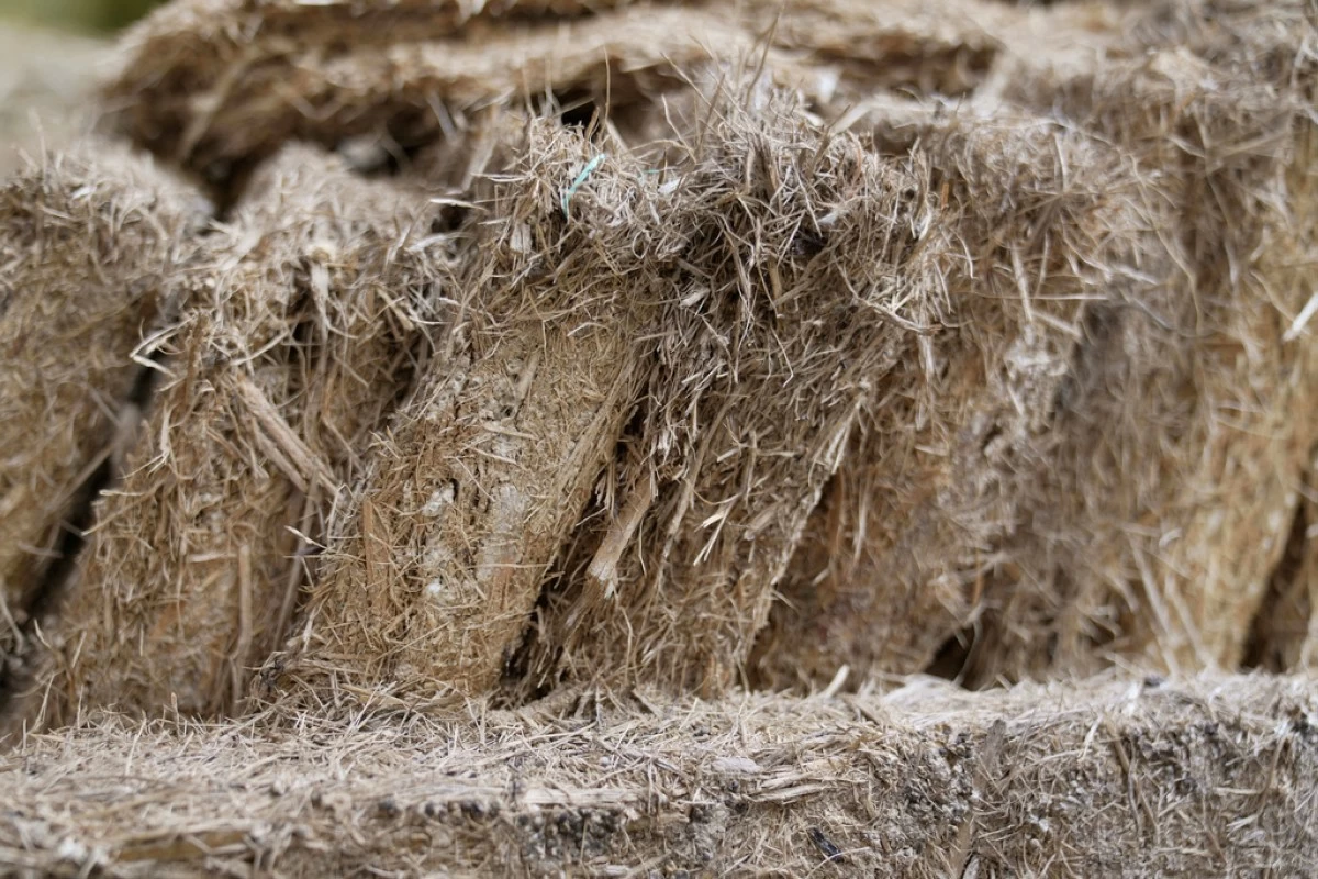 Pallets made from agricultural waste, for use in building house wall and roof insulation, are displayed at the MycoTile facility at the Kenya Industrial Research and Development Institute in Nairobi, Kenya, Thursday, July 24, 2025. (AP Photo/Brian Inganga)