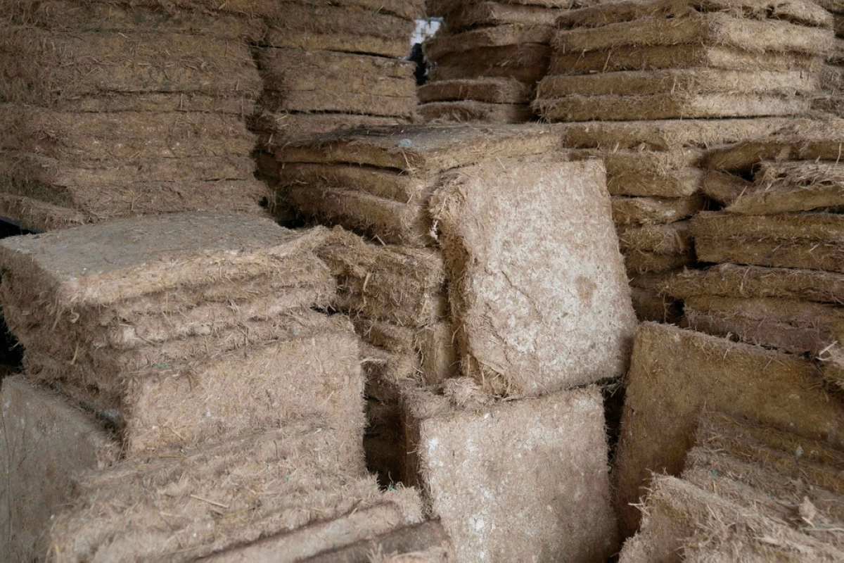 Pallets made from agricultural waste, for use in building house wall and roof insulation, are displayed at the MycoTile facility at the Kenya Industrial Research and Development Institute in Nairobi, Kenya, Thursday, July 24, 2025. (AP Photo/Brian Inganga)