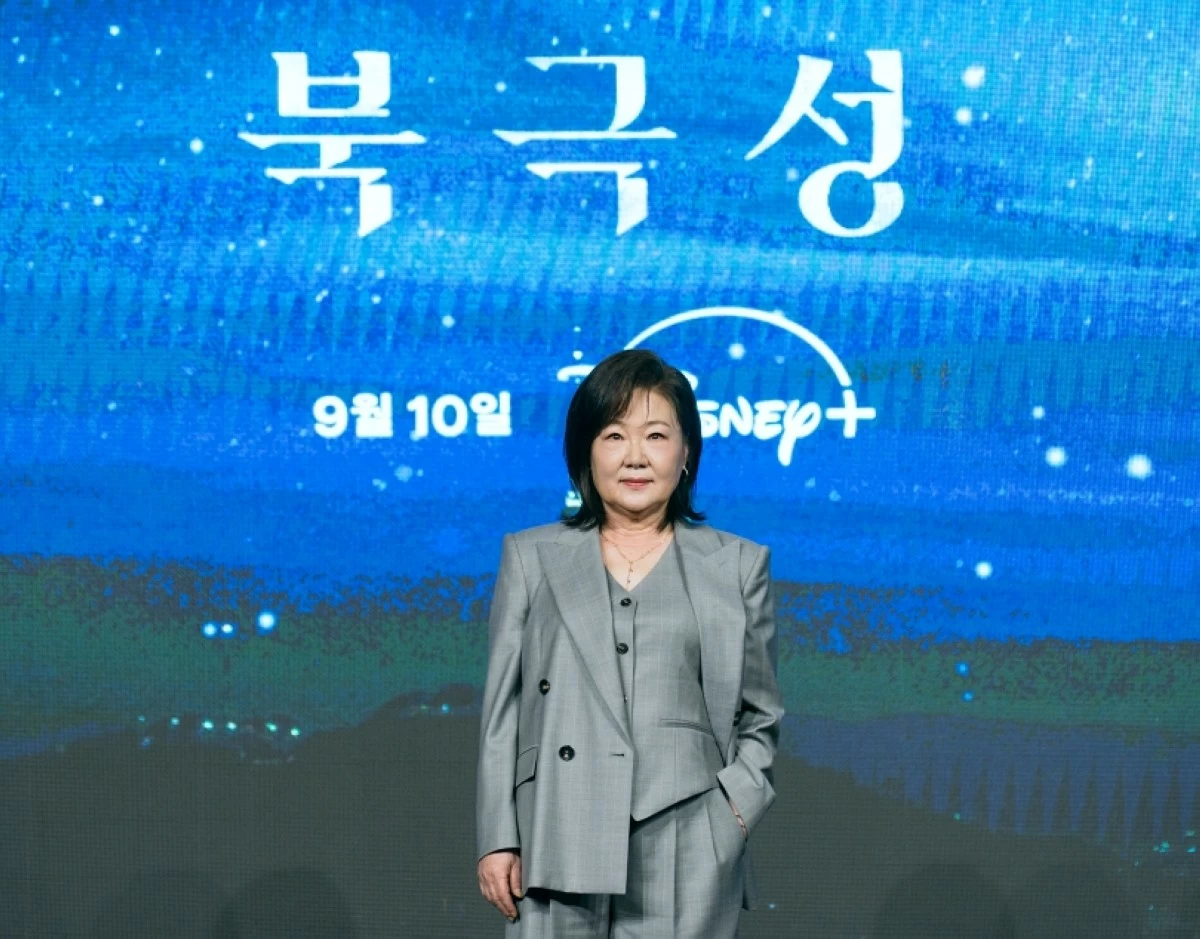 Actress Kim Hae-sook during the press conference for 