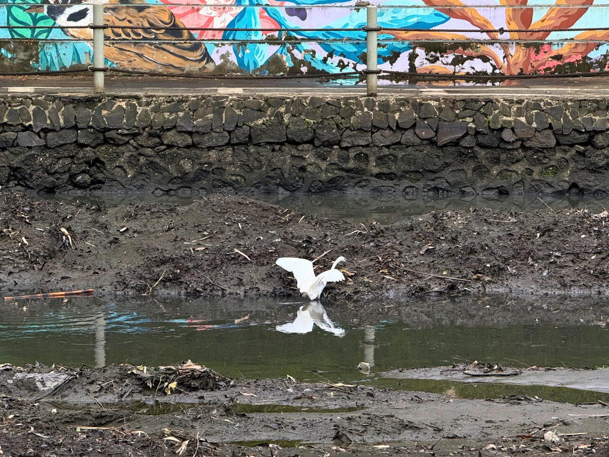 Ongoing river dredging works are in progress — a step toward restoring flow and improving water quality.