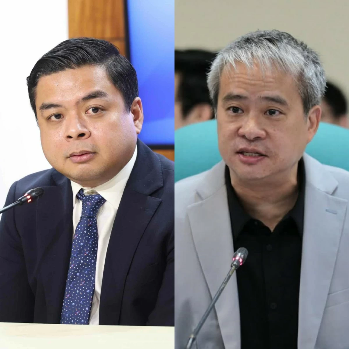 Bicol Saro Party-list Rep. Terry Ridon (left), Senator Joel Villanueva (PPAB, Facebook)