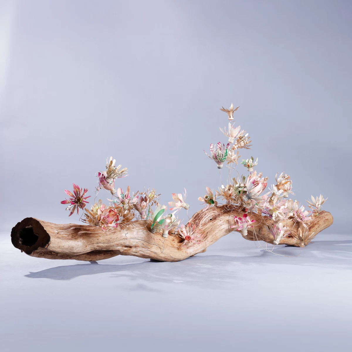 Second Life celebrates second chances and dwells on the circular nature of life.