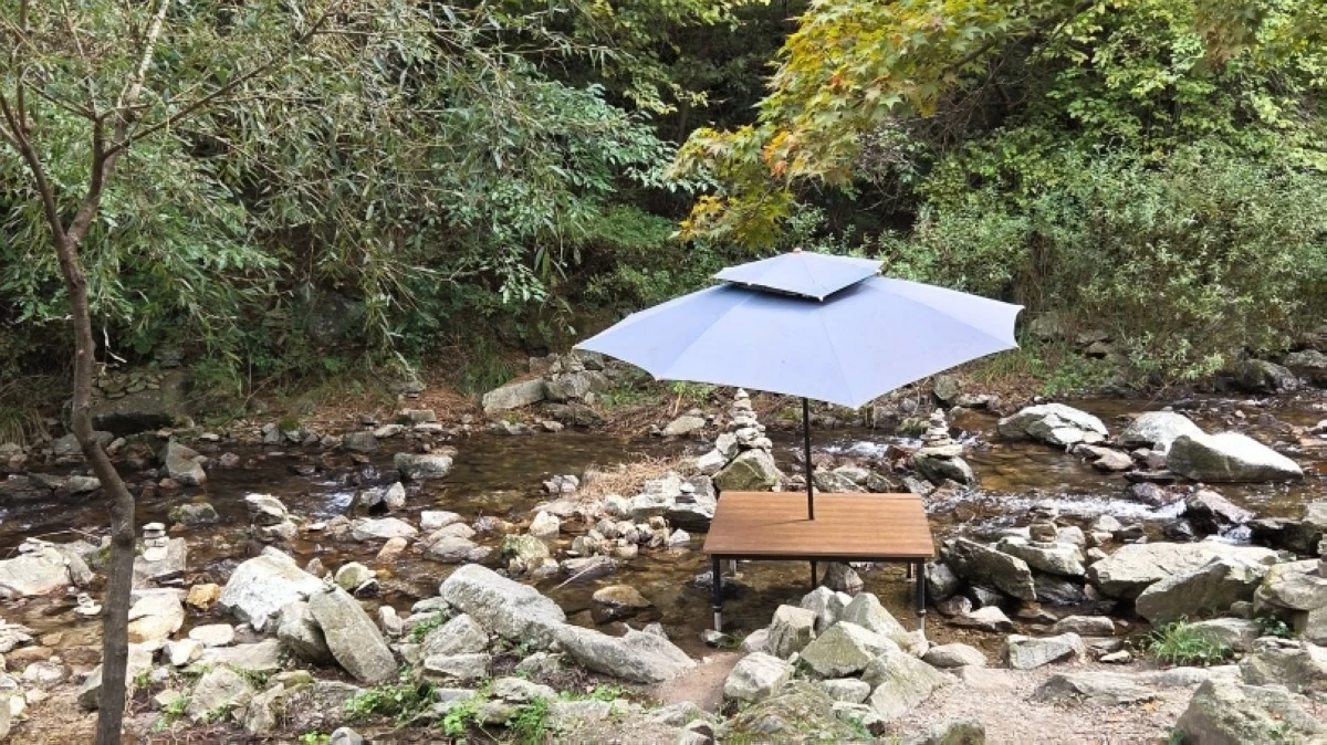 Garden of Morning Calm in South Korea (Jonathan Hicap)