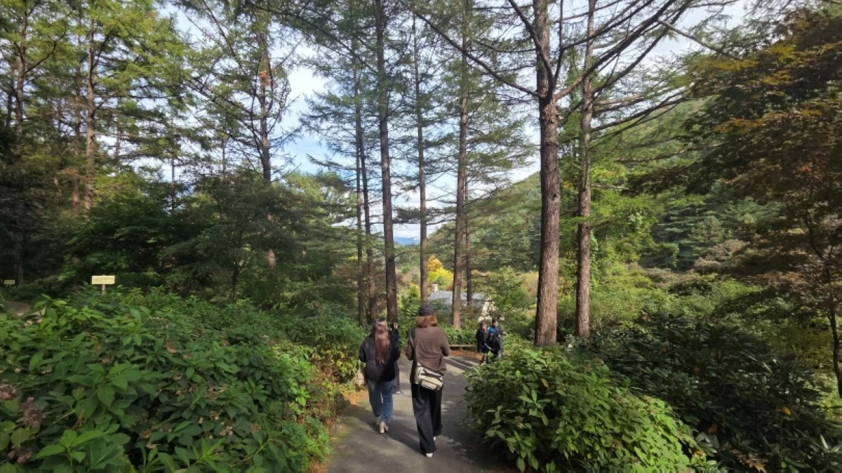 Garden of Morning Calm in South Korea (Jonathan Hicap)
