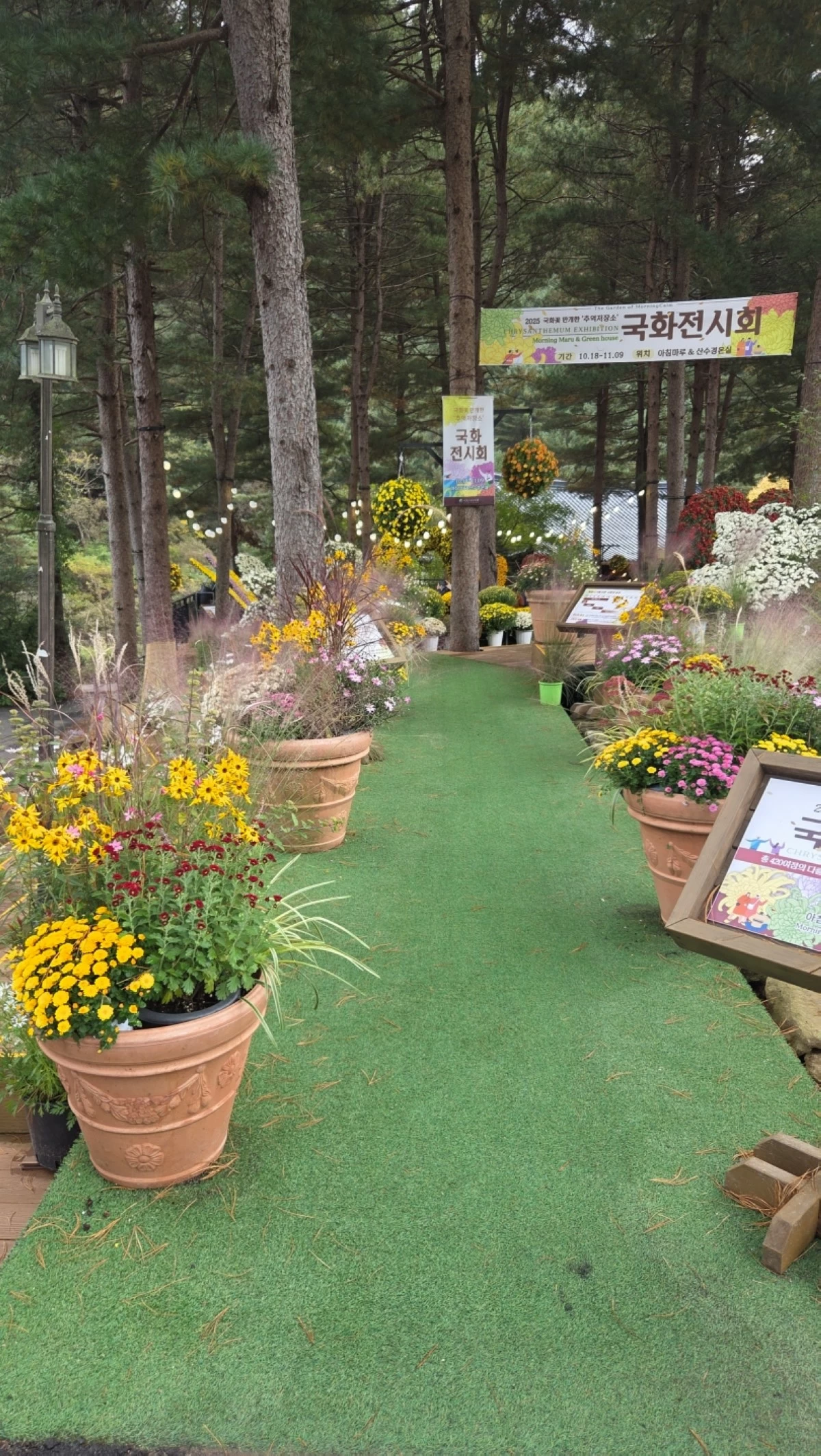 Garden of Morning Calm in South Korea (Jonathan Hicap)