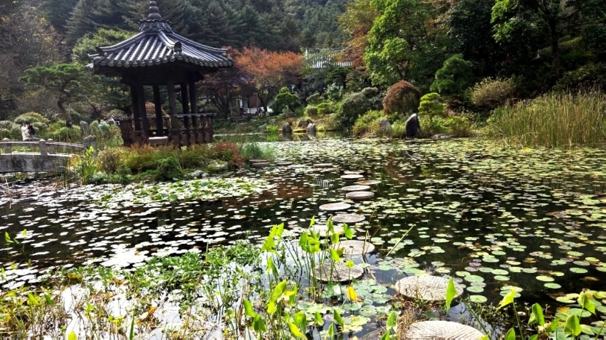 Garden of Morning Calm in South Korea (Jonathan Hicap)