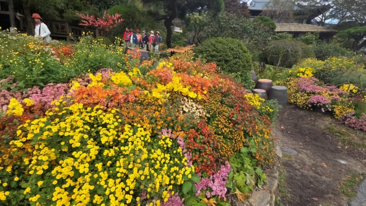 Garden of Morning Calm in South Korea (Jonathan Hicap)