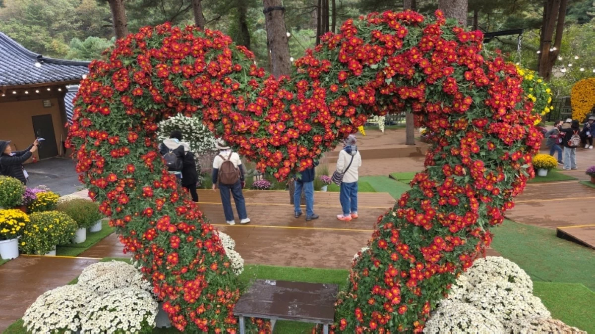 Garden of Morning Calm in South Korea (Jonathan Hicap)