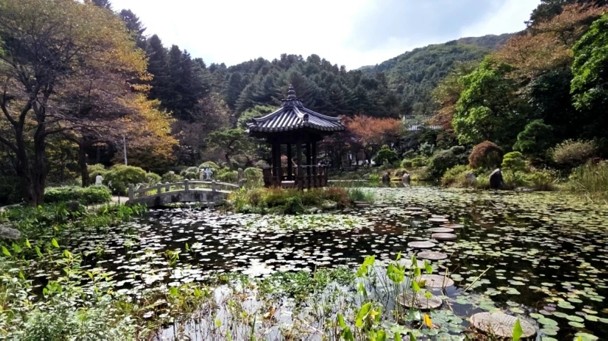 Garden of Morning Calm in South Korea (Jonathan Hicap)