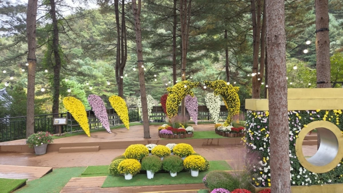 Garden of Morning Calm in South Korea (Jonathan Hicap)