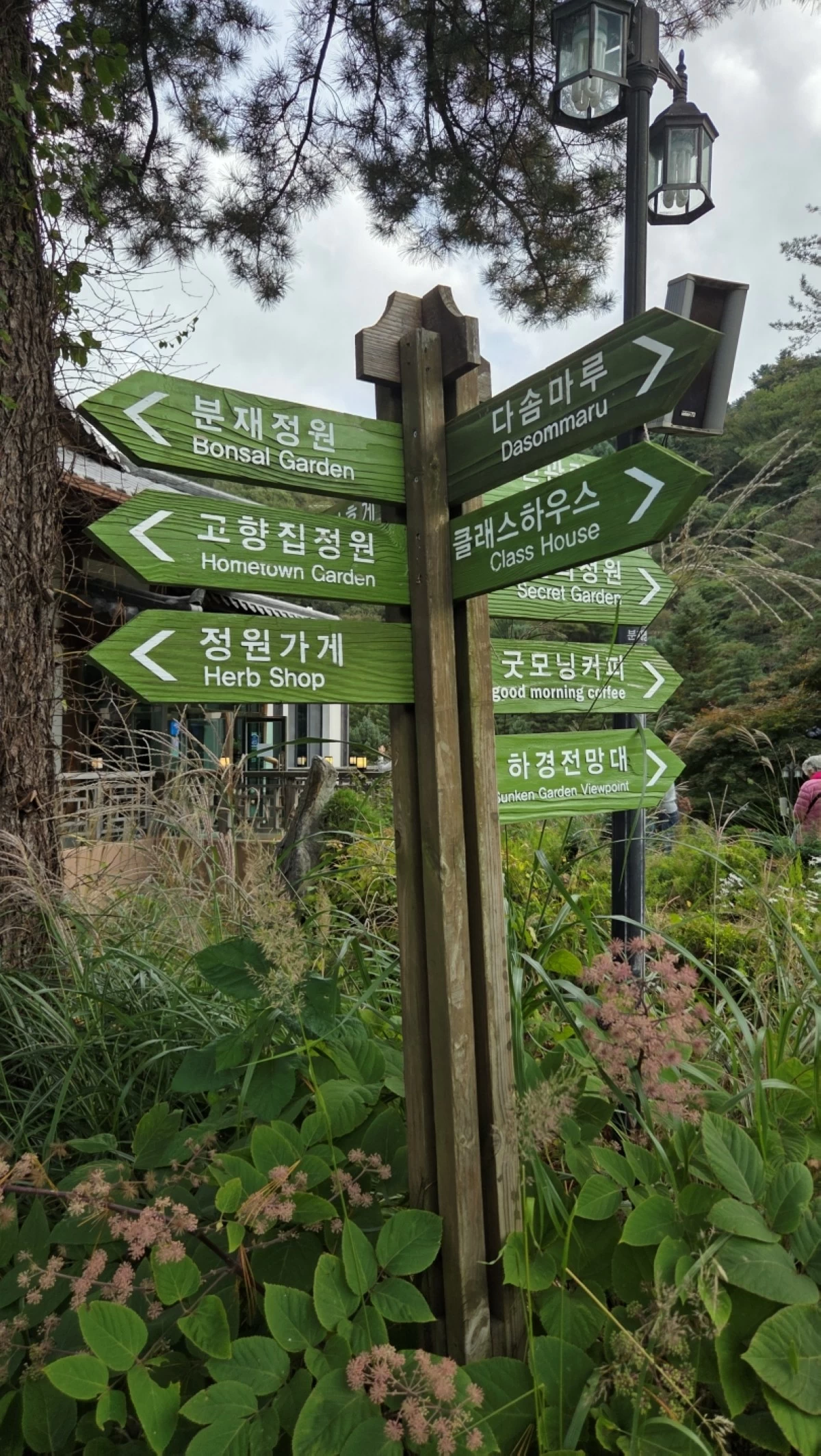 Garden of Morning Calm in South Korea (Jonathan Hicap)