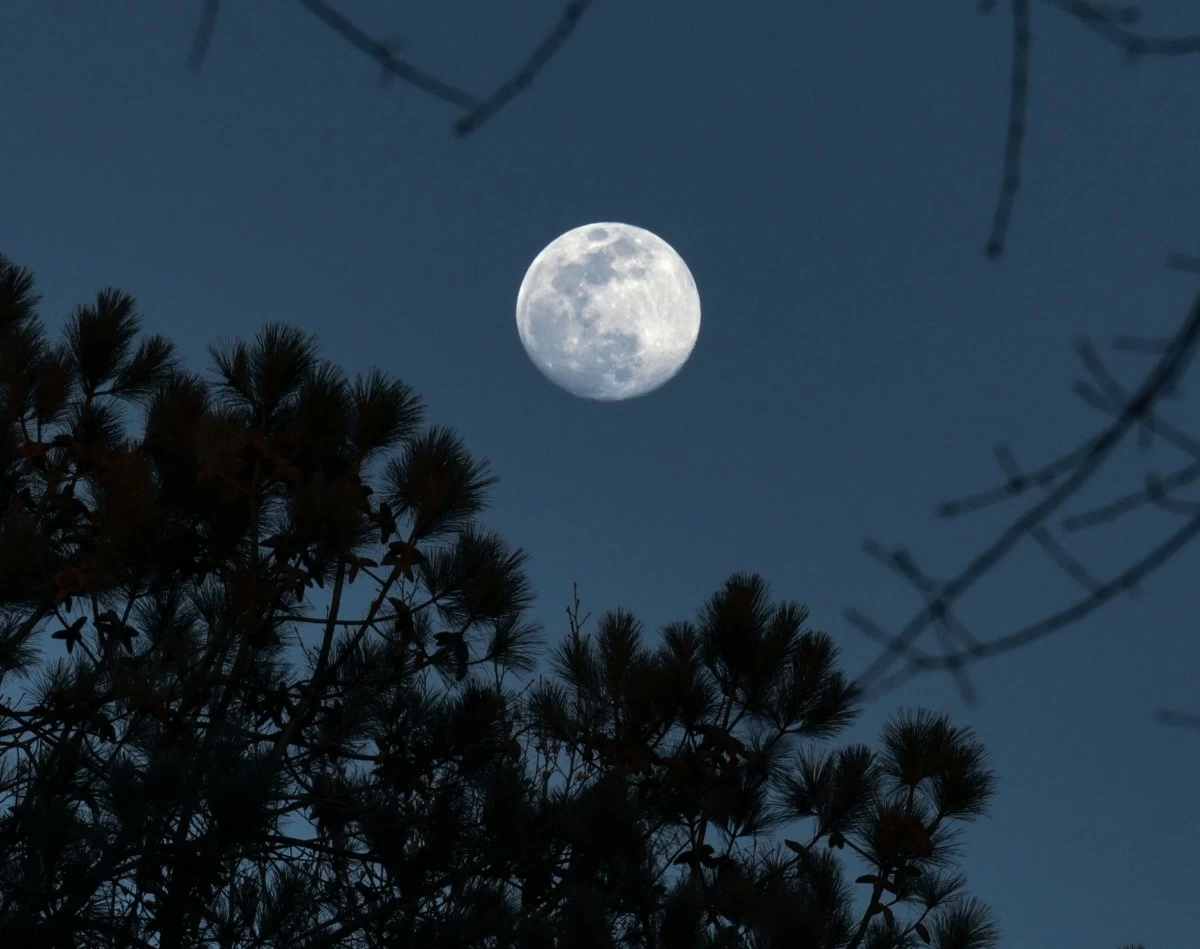 MOONLIT NIGHT The old mango tree in Sta. Rosa, Laguna, stands under the moonlight, recalling the childhood night when a faint scent of tobacco and a whispered voice stirred a lasting memory. (Photo from Unsplash)