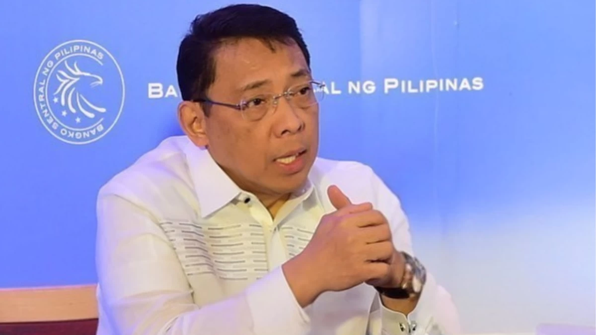 Former BSP Deputy Governor Diwa C. Guinigundo