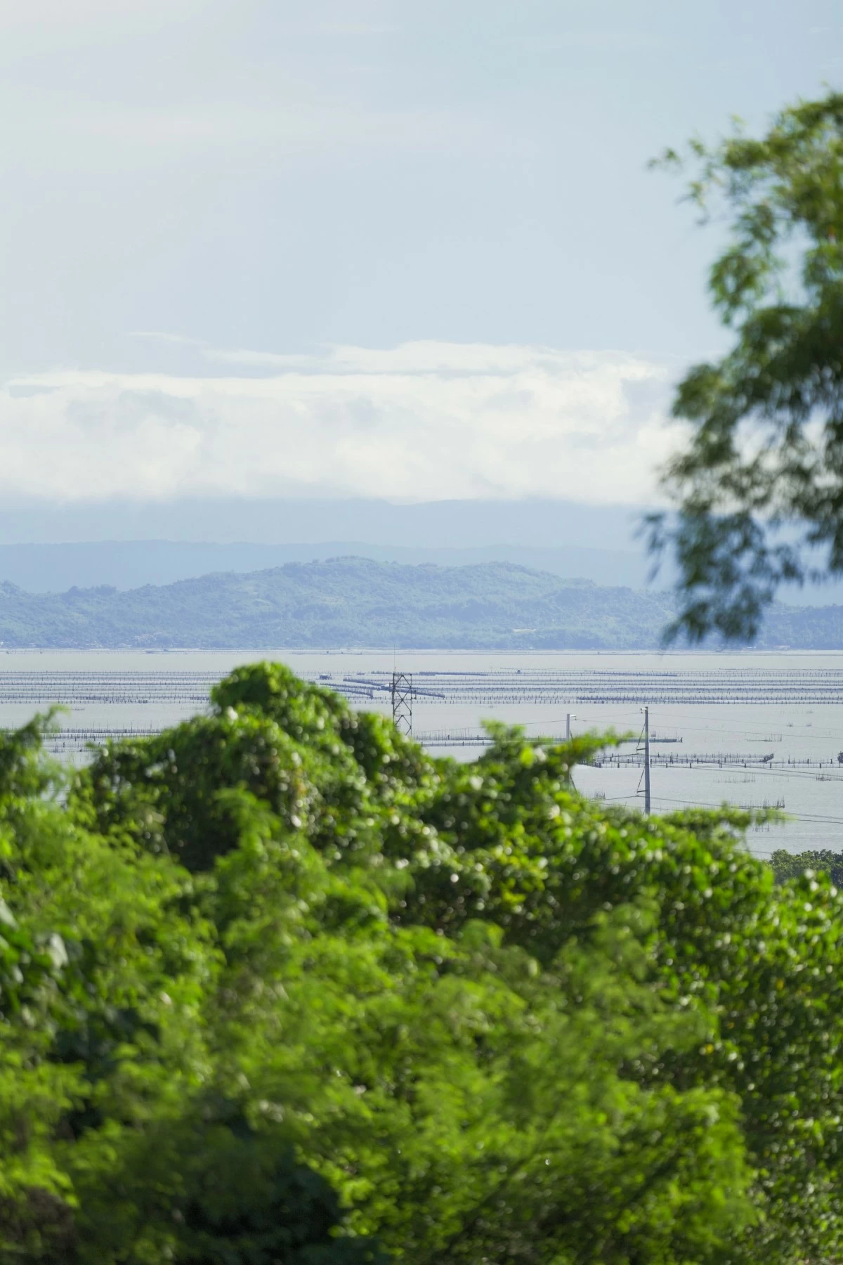 A view of Laguna Lake from Susana Heights