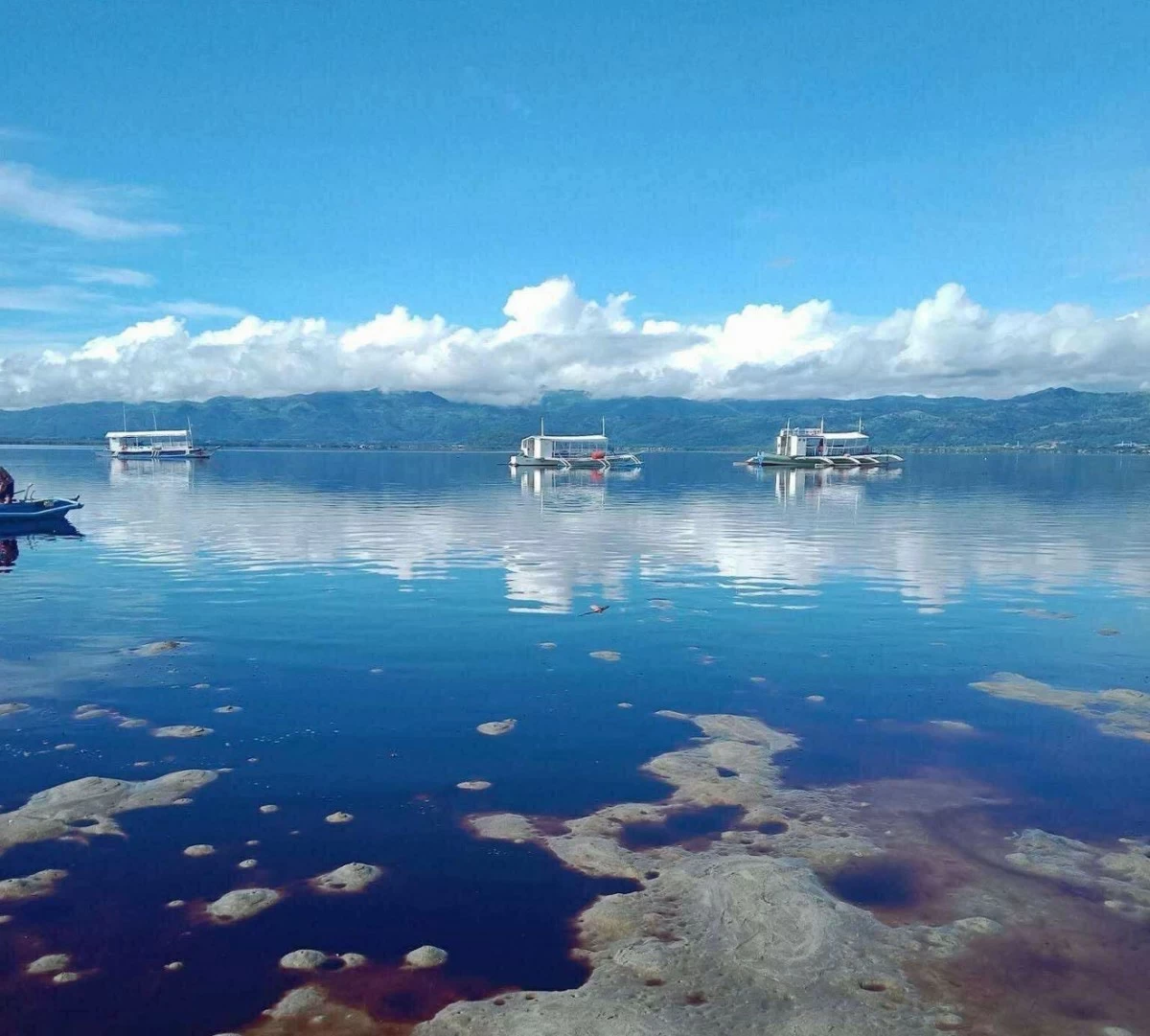 (PHOTO: PAMALAKAYA-NEGROS)