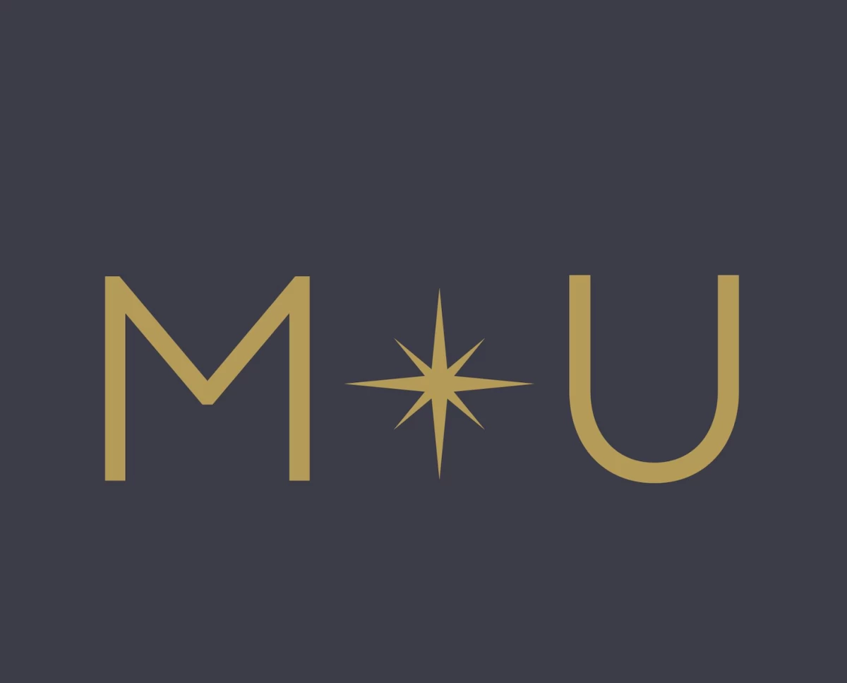 Germany, Iceland withdraw from 2025 Miss Universe beauty pageant